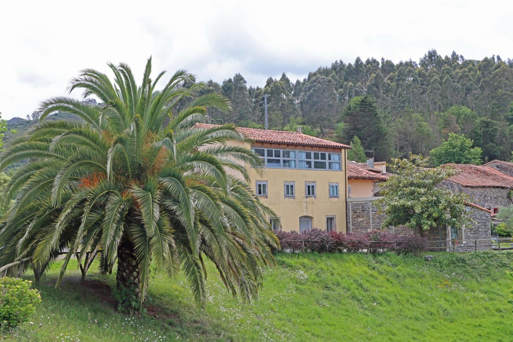 Hotel El Babu 카라비아 외부 사진